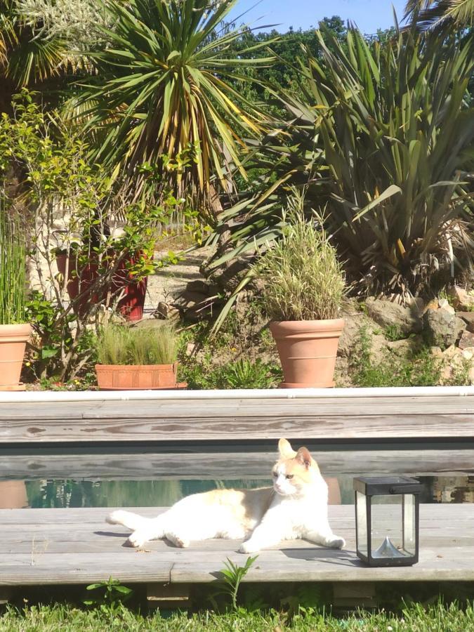 La Petite Hautiere Maison 2 Personnes Plouer Sur Rance Avec Piscine Apartment Exterior foto